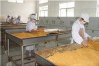 精選肉松批發 黃金松、原味、辣味、雞肉松一站式供應，量大優惠包郵